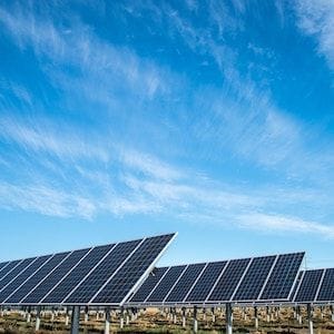 Blockchain goes bush with Power Ledger Blockchain goes bush with Power Ledger
